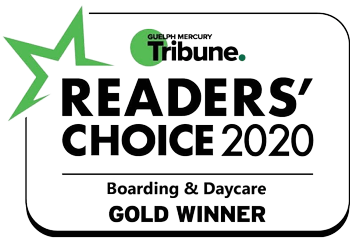 Tribune Readers Choice 2020