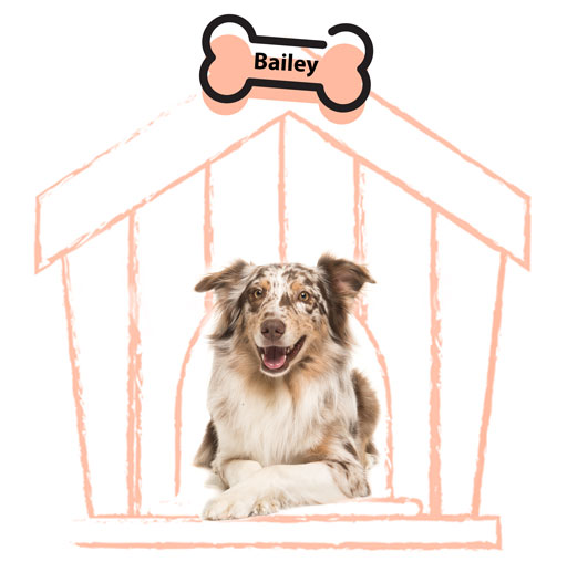 Dog named Bailey in dog house