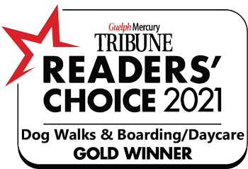 Tribune Readers Choice 2021