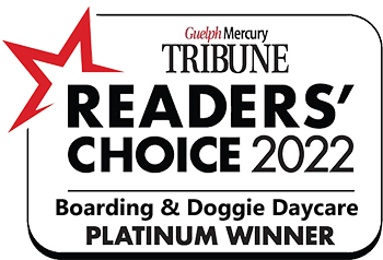 Tribune Readers Choice 2022